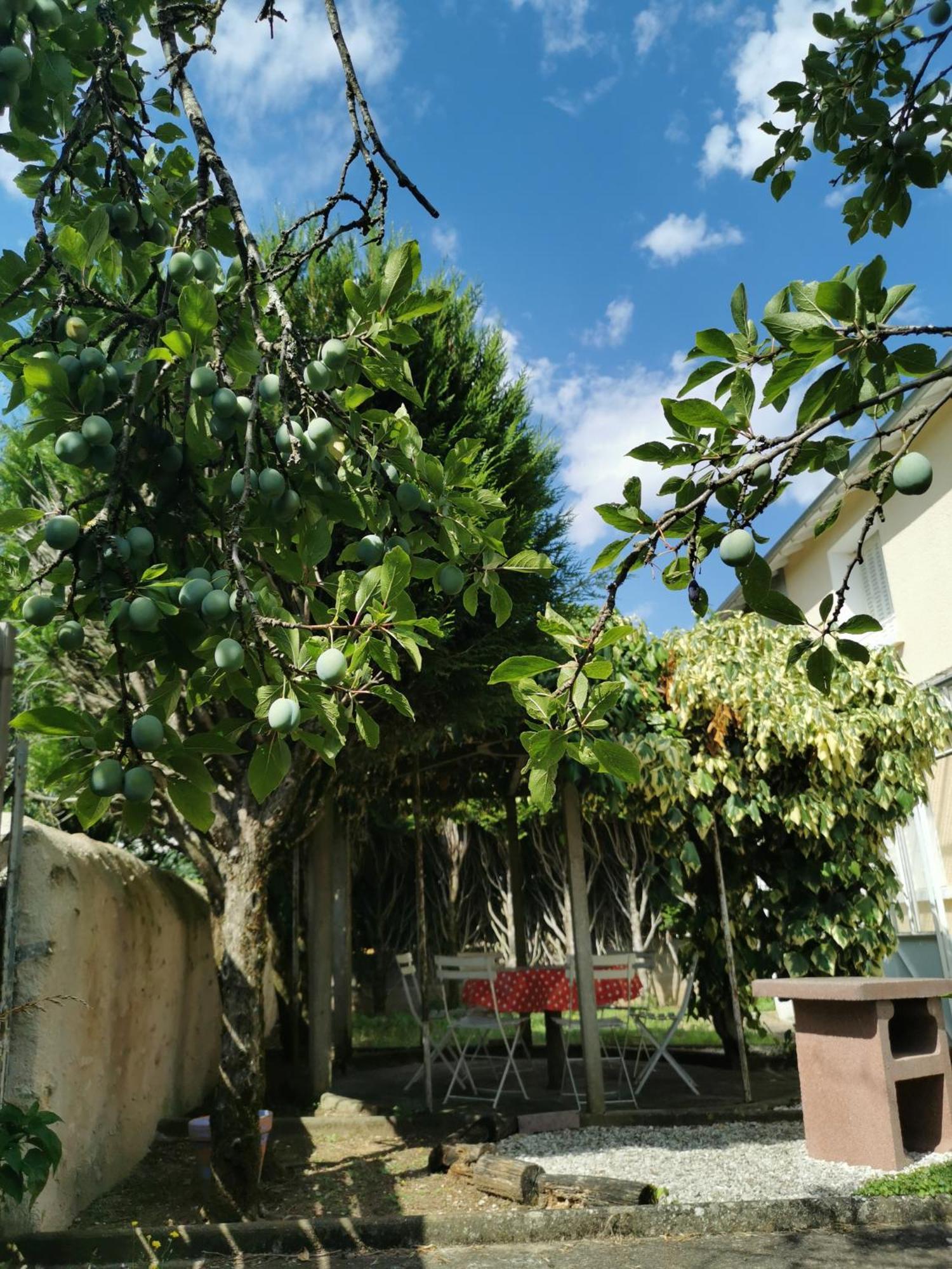 Authentique Gite 1950 Poitiers Futuroscope Aquascope, 1A9Prsn, 3 Pkg, 3 Etoiles A 6Prsn Et 3 Appoints Eco-Responsable ภายนอก รูปภาพ